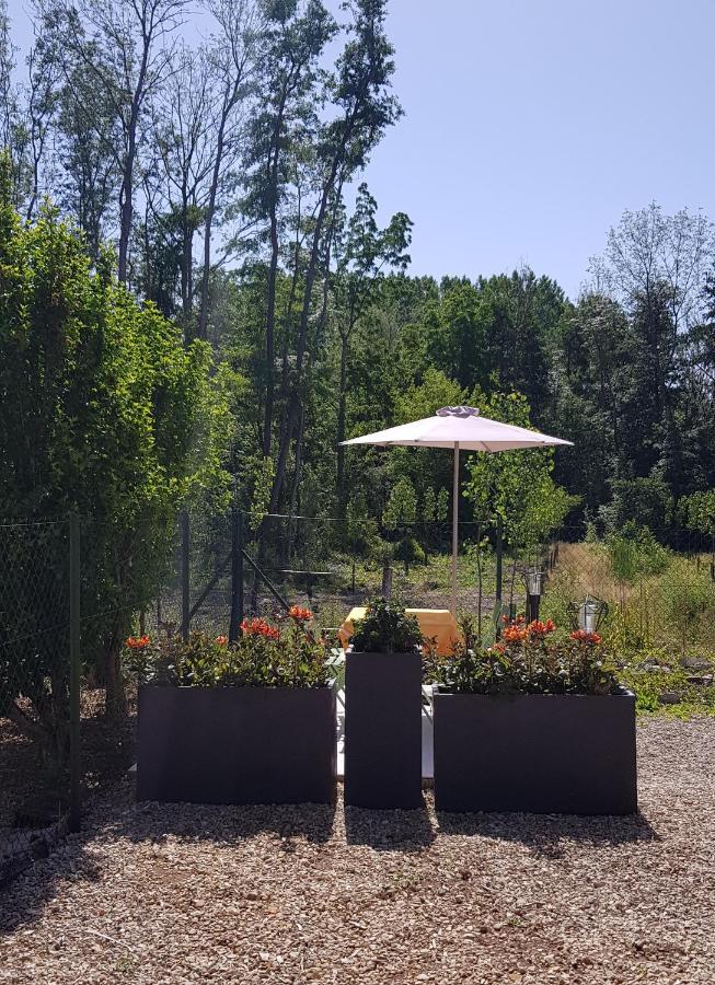 Agreable Petite Maison Proche Joigny Chamvres Exterior photo